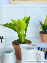 Fern in pot - Green - Miniature