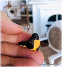 Dollhouse miniature bird curious