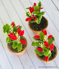 Red Christmas Potted Plant - Miniature