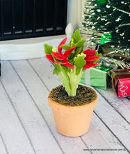 Red Christmas Potted Plant - Miniature
