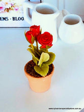 Red Roses in pot - Miniature