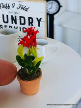 Dollhouse miniature red flowers pot plant garden