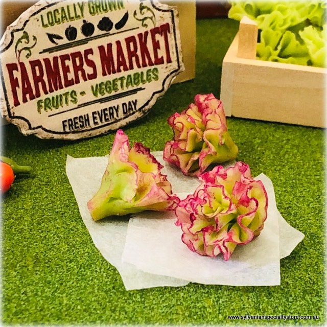 Lettuce - Purple x 3 - Miniature