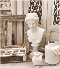 Dollhouse statue bust Venus miniature