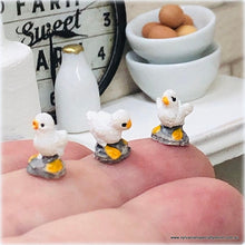Dollhouse miniature chick figurines poultry hens