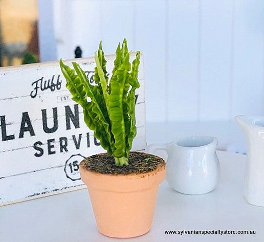 Doll house miniature fern