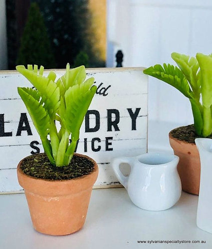 Fern in pot - Green - Miniature