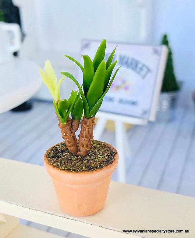 Dollhouse miniature potted plant yukka fern
