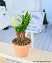 Dollhouse miniature potted plant yukka fern