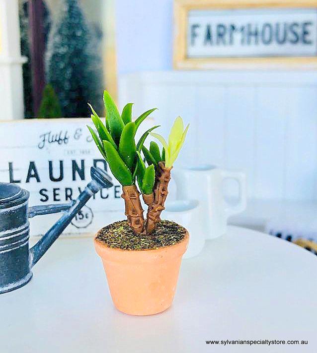 Dollhouse miniature potted plant yukka fern