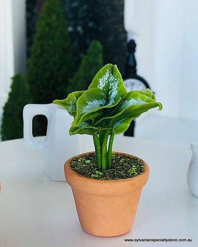 Dollhouse miniature fern with curl leaf