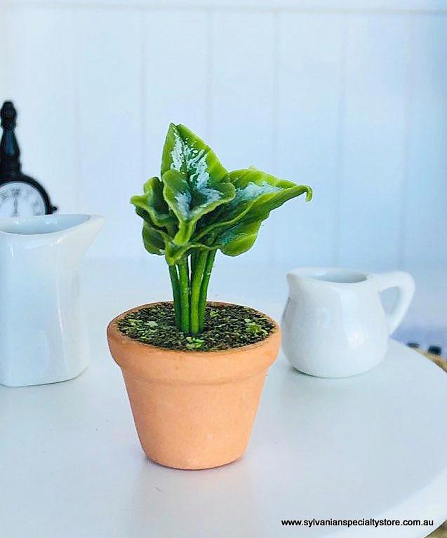 Dollhouse miniature fern with curl leaf