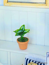 Dollhouse miniature fern with curl leaf