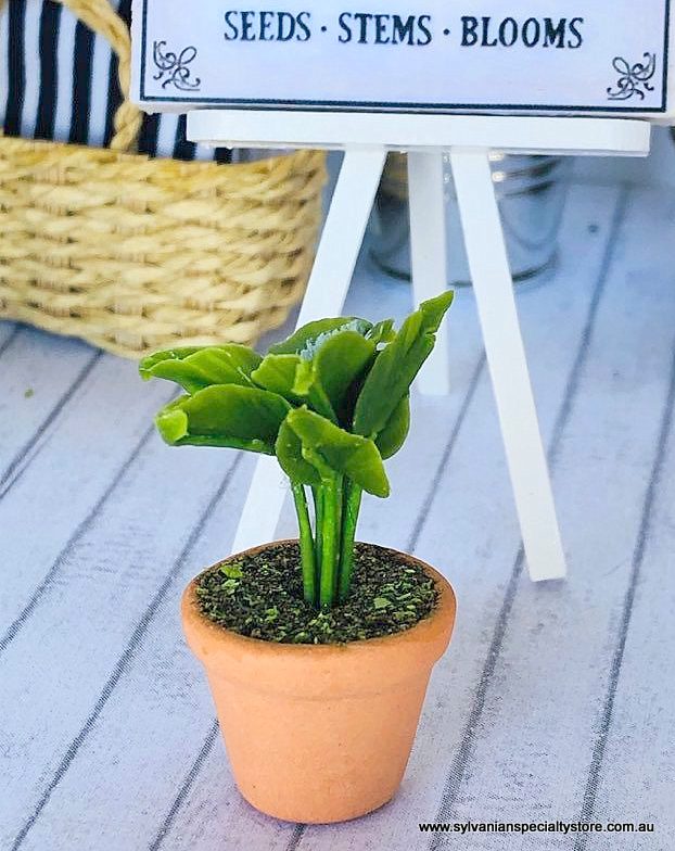 Dollhouse miniature fern with curl leaf