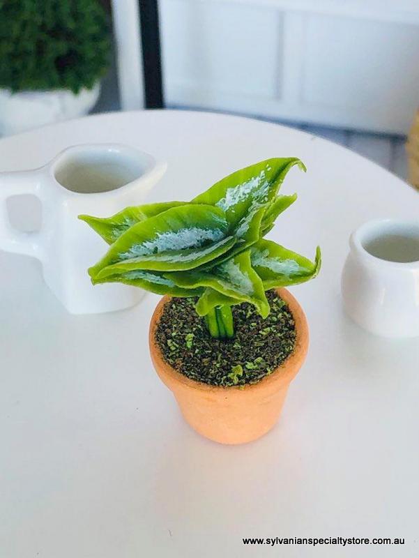 Dollhouse miniature fern with curl leaf
