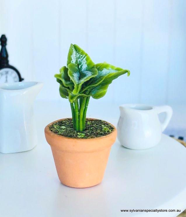 Dollhouse miniature fern with curl leaf