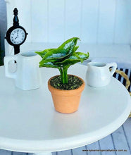 Dollhouse miniature fern with curl leaf