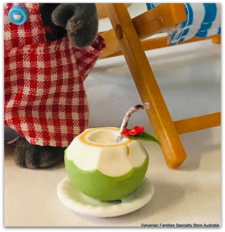 Coconut Drink - Miniature