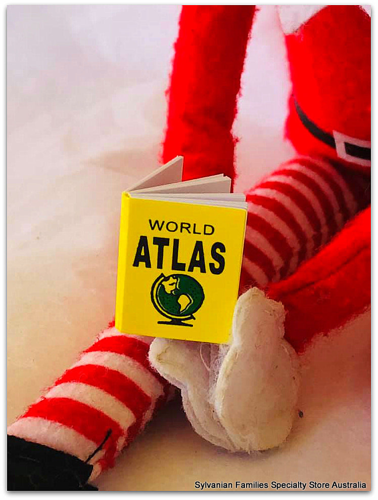 The World Atlas Book