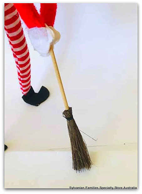 Whisk Broom