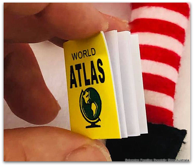The World Atlas Book
