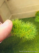 Grass Tufts - 1 sheet of 48 Adhesive grass clumps
