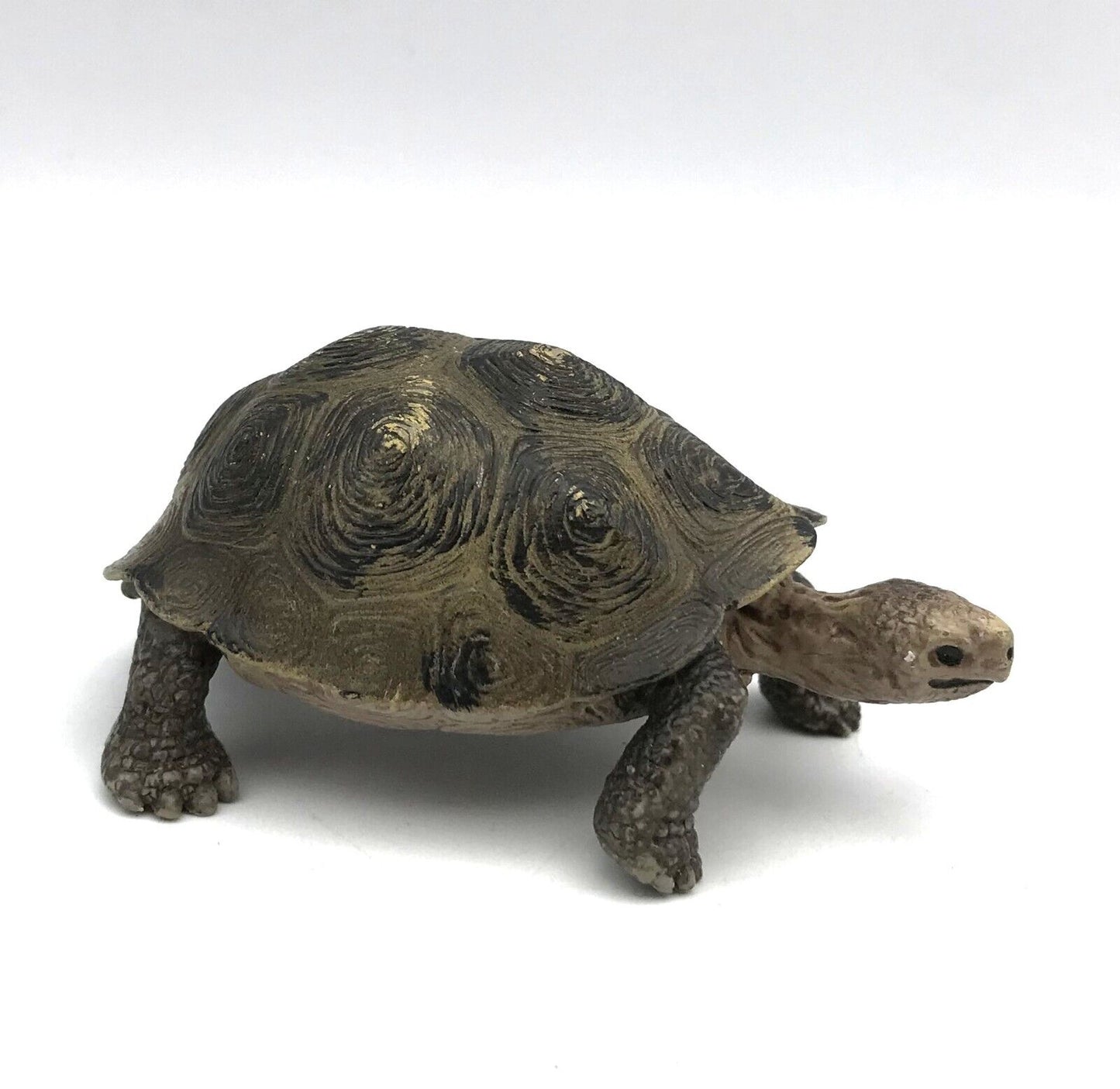 Schleich Baby Tortoise