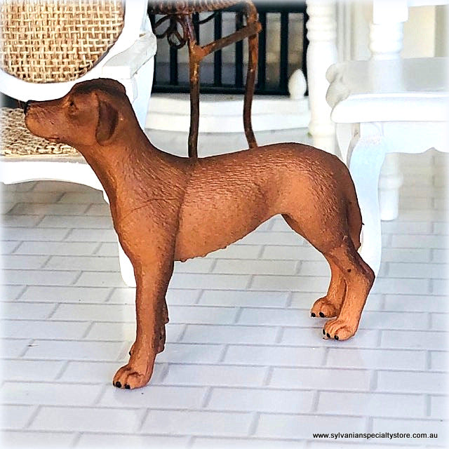 Dollhouse miniature rhodesian ridgeback Schleich dog