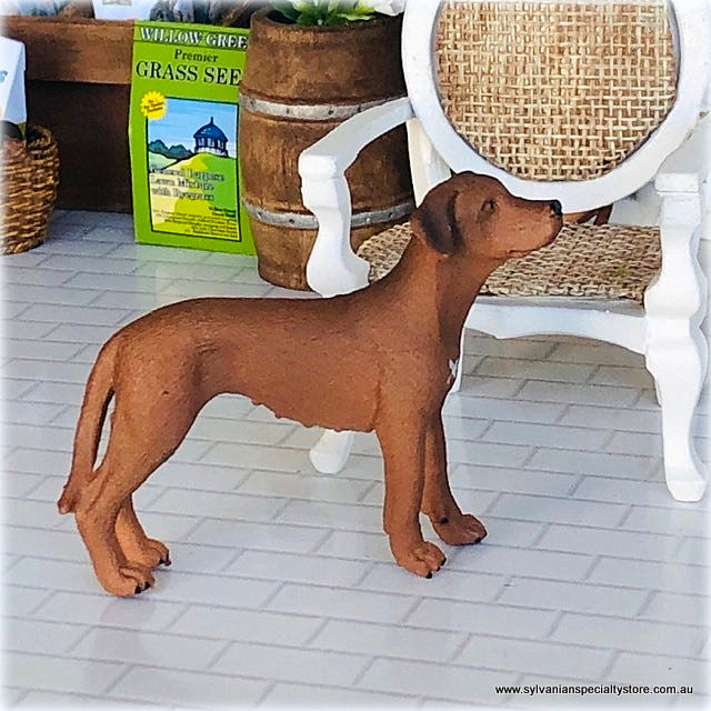 Rhodesian Ridgeback - Schleich
