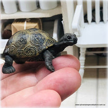 Schleich Baby Tortoise