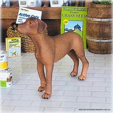 Dollhouse miniature rhodesian ridgeback Schleich dog