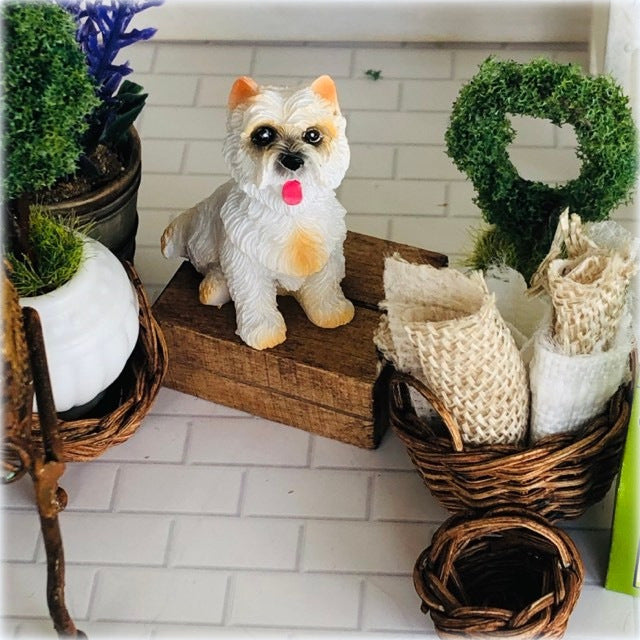 Sitting West Highland Terrier - Miniature