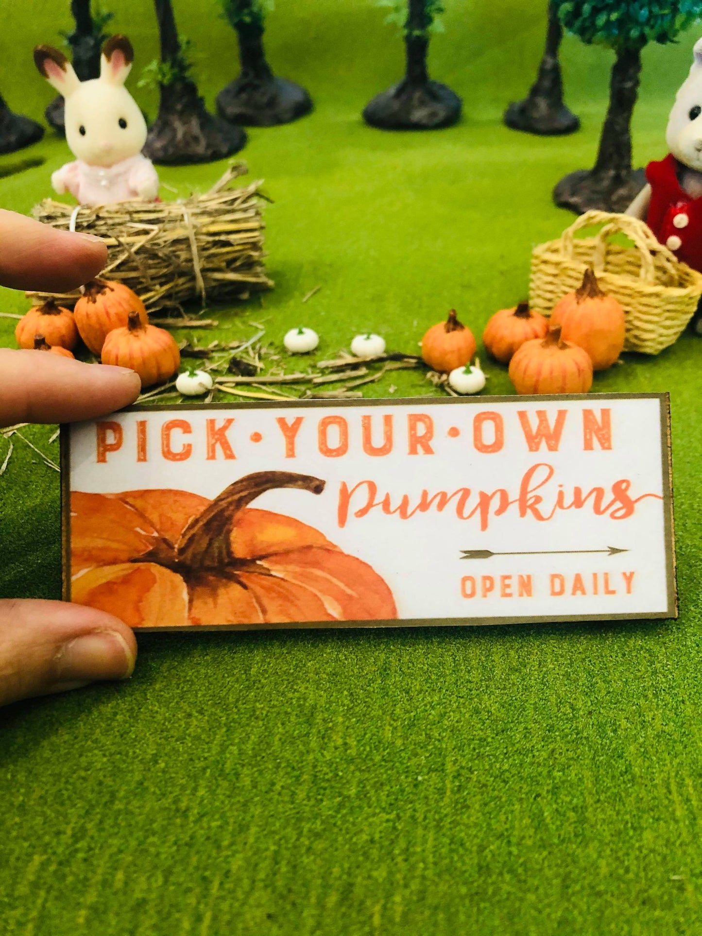 Pumpkin Sign